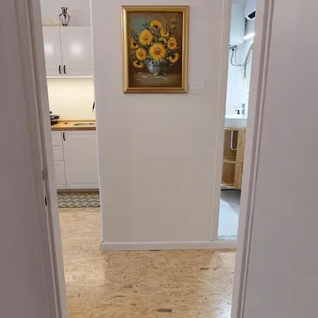 Katica *